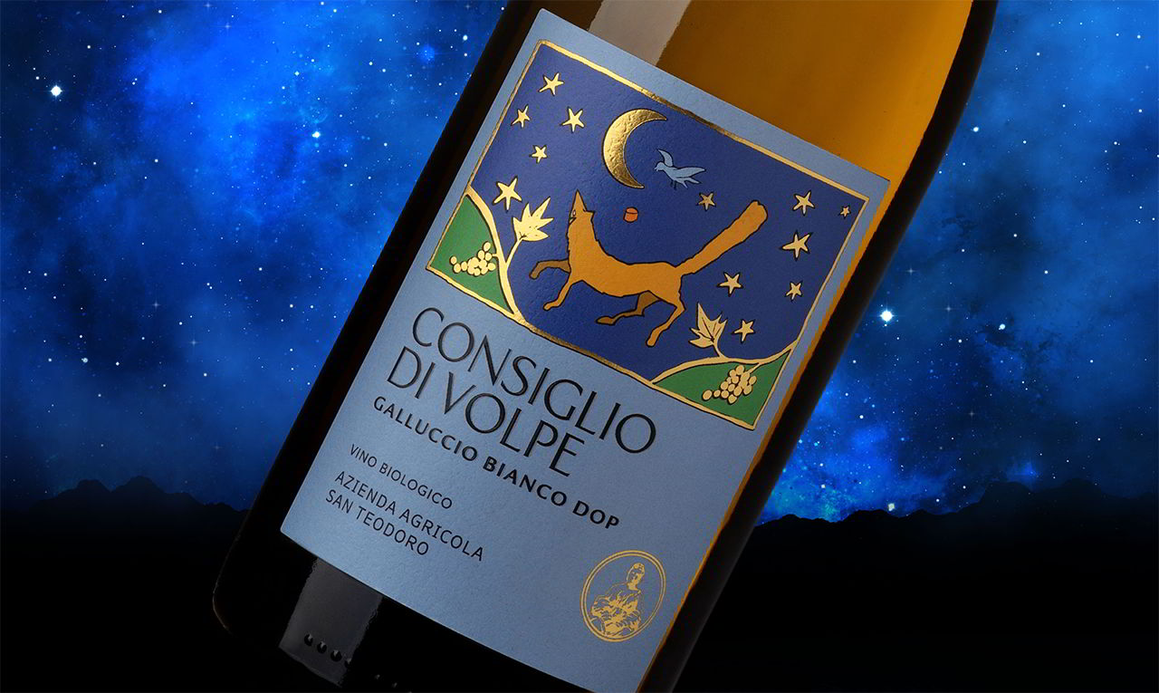 Consiglio di volpe- Galluccio Bianco DOP - vino biologico - Azienda agricola San Teodoro