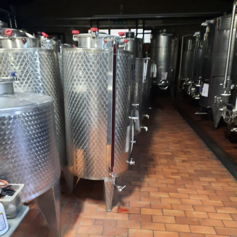Degustazioni in azienda - Agricola San Teodoro