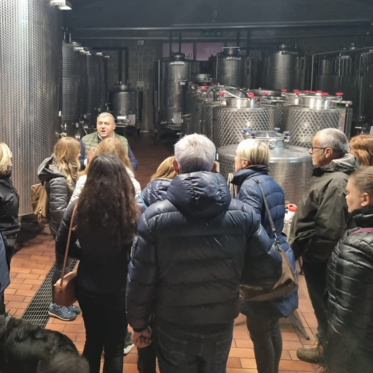Degustazioni in azienda - Agricola San Teodoro
