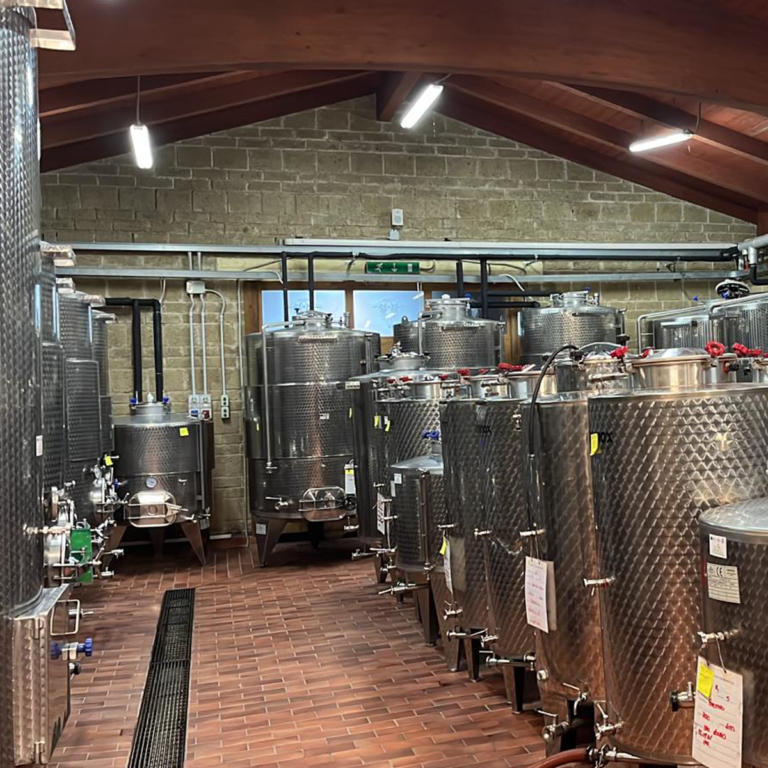 Cantina Agricola San Teodoro