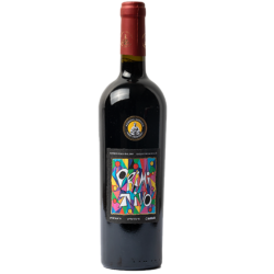 Primitivo - Roccamonfina IGP